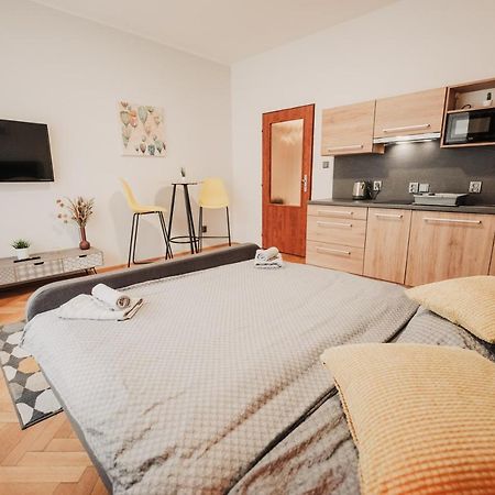 Elegant Studio, 400M From The Square Apartment Plzen Exterior photo